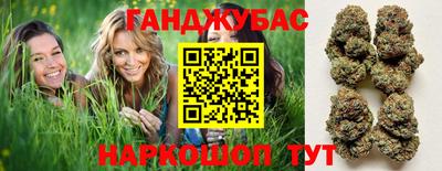 гашик Волжский