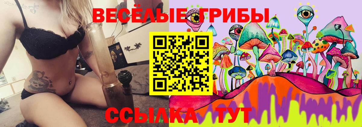 Галлюциногенные грибы ЛСД  Вход с VPN  Салехард 